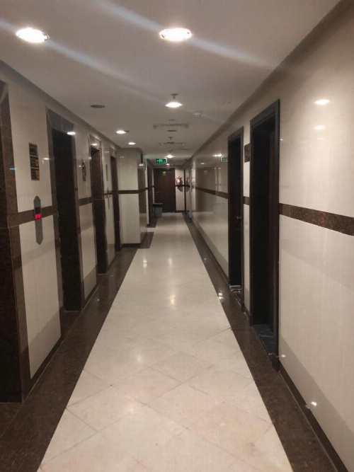 The Blue Bow image 14